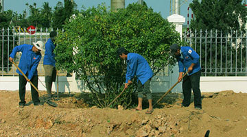 Thien Tan Group’s Youth Union actively planting trees