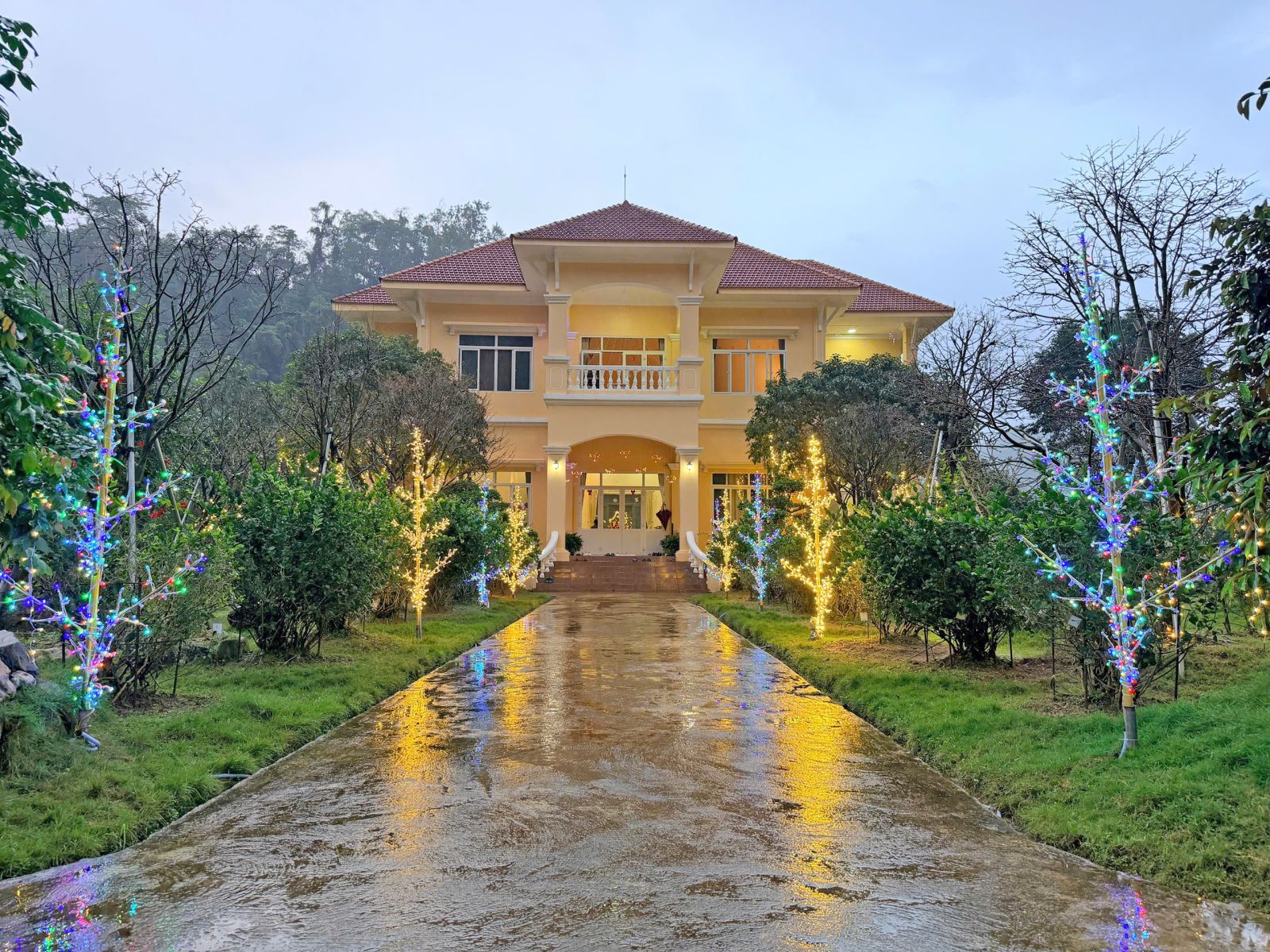 Thien Tan Group – A Vibrant Christmas Space at the BaXa Project
